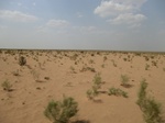 36737CIMG0506.JPG