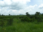 19628P1010475.JPG