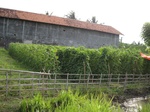 14393IMG_4735.JPG