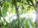 48058CIMG4395.JPG