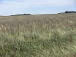 30104CIMG0159.JPG