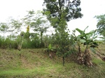 16438IMG_5223.JPG