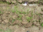 18775P1000613.JPG