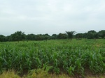 18733P1000571.JPG