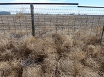 28843HOOK20110406E.JPG