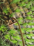 14662IMG_5043.JPG
