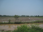 34515IMG_5498.JPG
