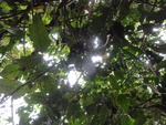 46799DSC02137.JPG