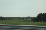 2024-08-05_15-52-14_B938C060-AE0E-4A22-A9D6-2C0FF9E2C310.jpeg