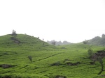 15031IMG_3844.JPG
