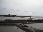 15740IMG_4828.JPG