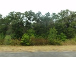 35796DSC02558.JPG