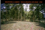 40428ANH111.JPG
