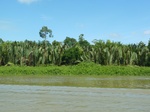 54648Bulungan (160).JPG