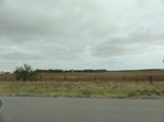 35959DSC02729.JPG