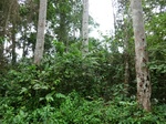 45949CIMG0238.JPG