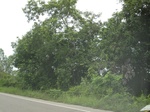 34414IMG_5395.JPG