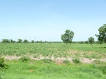 19499P1010346.JPG