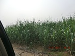 32787CIMG1919.JPG