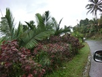 30885CIMG0739.JPG