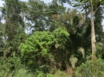 49719CIMG6056.JPG