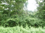 25031P1020459.JPG