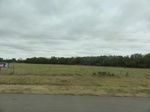 35964DSC02734.JPG