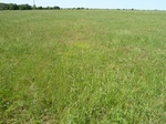 29193DURA20110517GPS.JPG