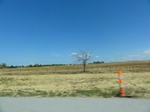 35498DSC03014.JPG