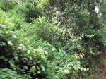 15321IMG_4160.JPG