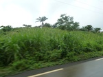 20533P1020390.JPG