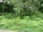 20489P1020346.JPG