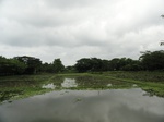 22104DSC00345.JPG