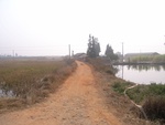 4570RIMG0022.JPG