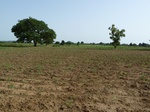 18921P1000765.JPG