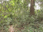 46781DSC02119.JPG