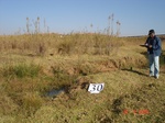 10610gt-030-wetland-perennial-channelled-valley-bottom-01.jpg