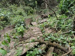 51267DSC02146.JPG