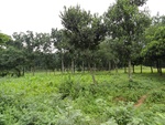 21980DSC00088.JPG