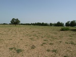 19140P1000985.JPG