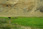 27521DSC_7853.JPG