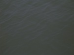 2207 277.jpg