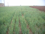 16685RIMG0210.JPG