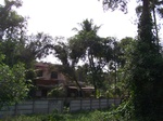 1696510052008(35).JPG
