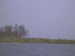 624R0015132.jpg