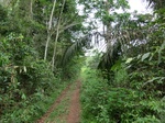 46293CIMG0582.JPG