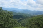 2024-08-05_13-51-13_3C1965E4-8263-420B-93DA-D3157DFDF700.jpeg