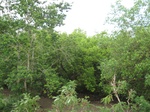 15486IMG_4556.JPG