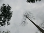 46140CIMG0429.JPG