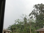 49892CIMG6229.JPG